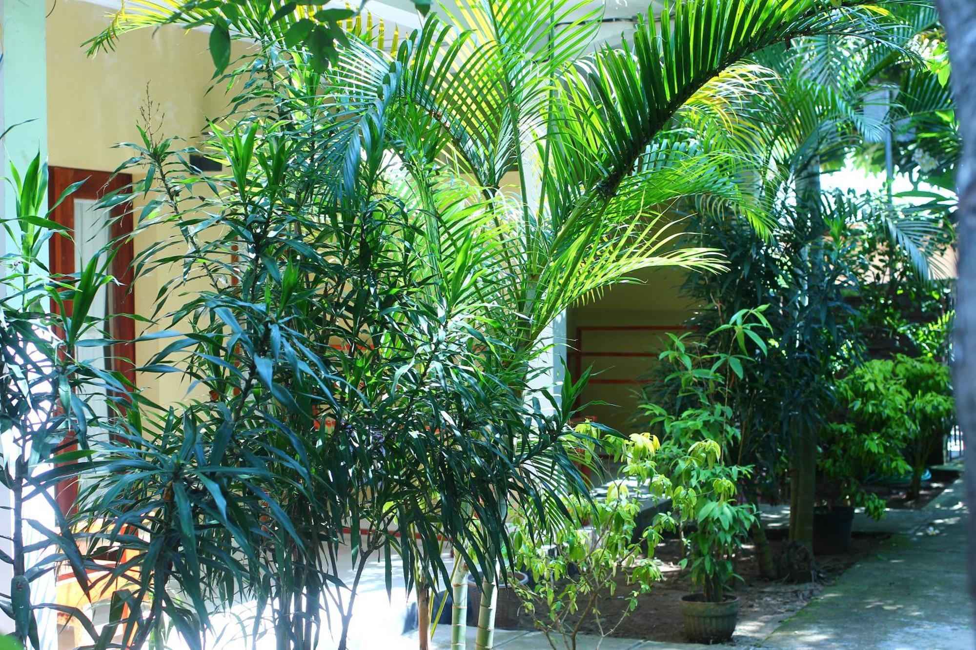 Three V Homestay Kuta  Exterior foto