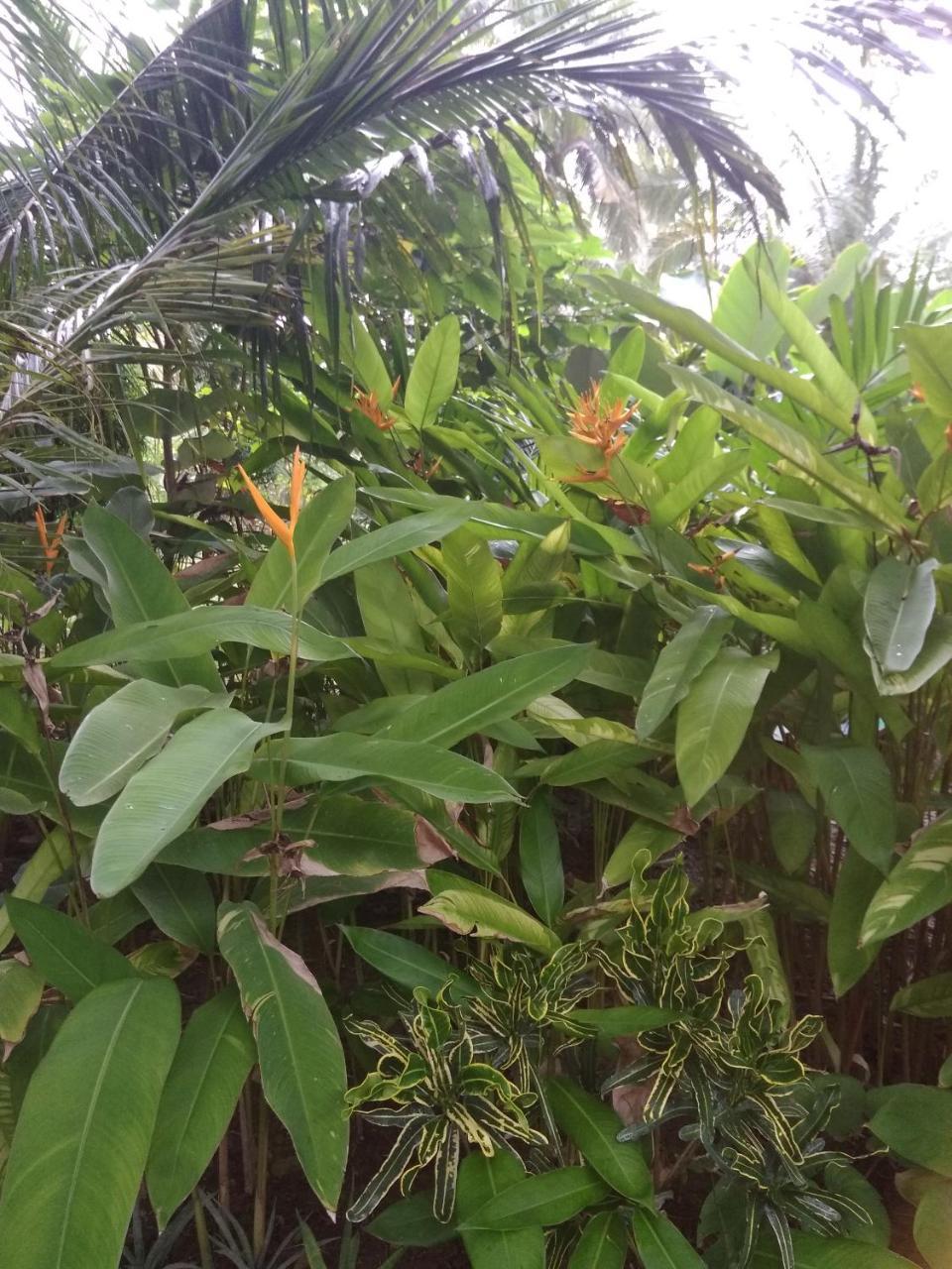 Three V Homestay Kuta  Exterior foto
